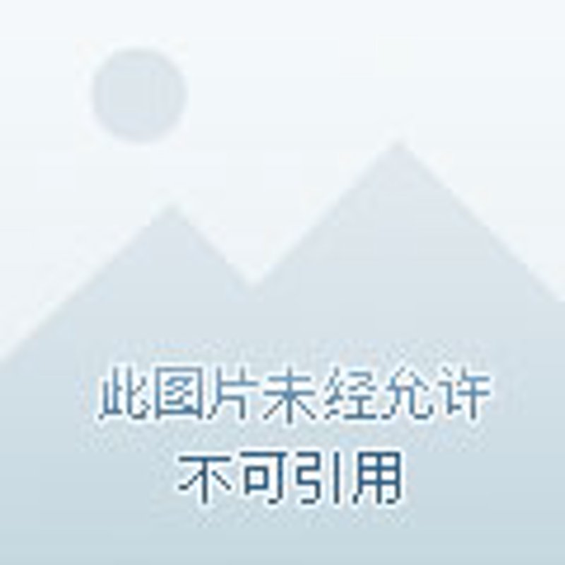 互联网平台开发
